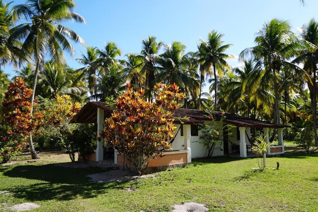 Casinha Jardim Das Palmeiras Morro de Sao Paulo Exterior photo